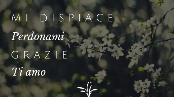 mi dispiace perdonami grazie ti amo
