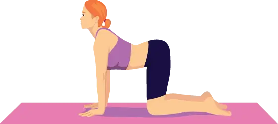 Majrasana