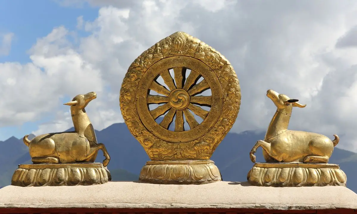 ruota del dharma
