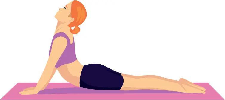 Saluto al sole cane a testa in su