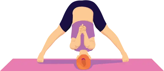 Prasarita Padottanasana C