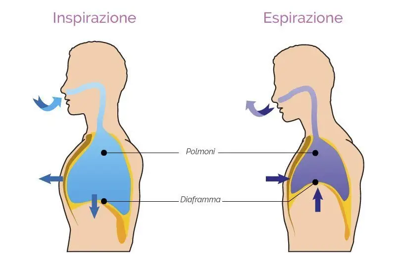 processo respirazione