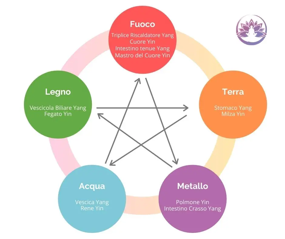 schema meridiani energetici