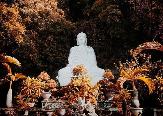 dharma nel buddhismo