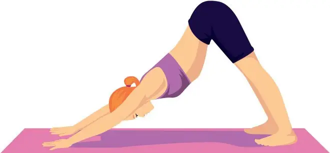 Adho Mukha Svanasana saluto al sole