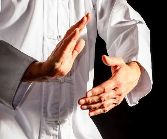 stili qi gong