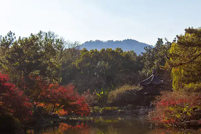 paesaggio autunnale