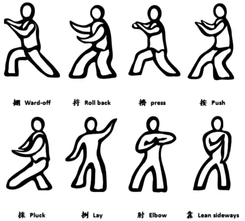 8 forme tai chi