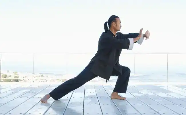 stile tai chi