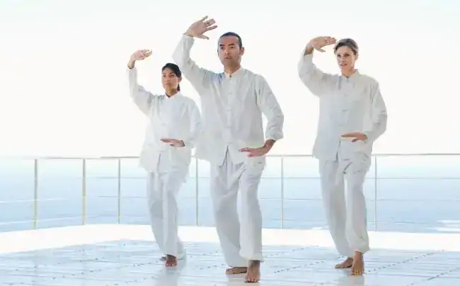 stili del tai chi