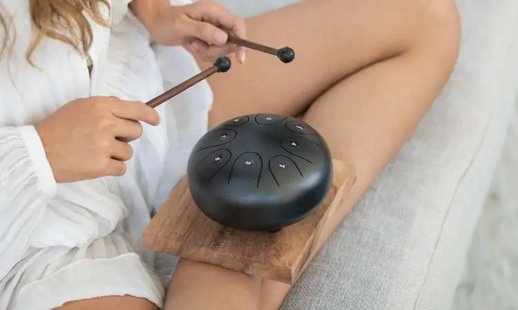 donna suona uno strumento musicale indiano