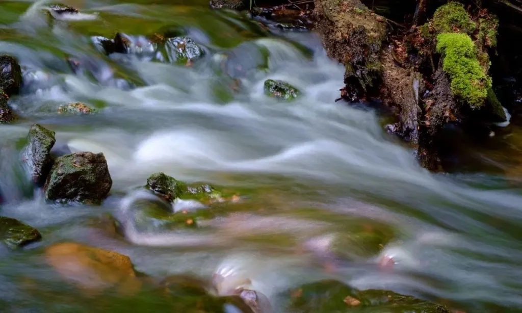 acqua che scorre in un ruscello
