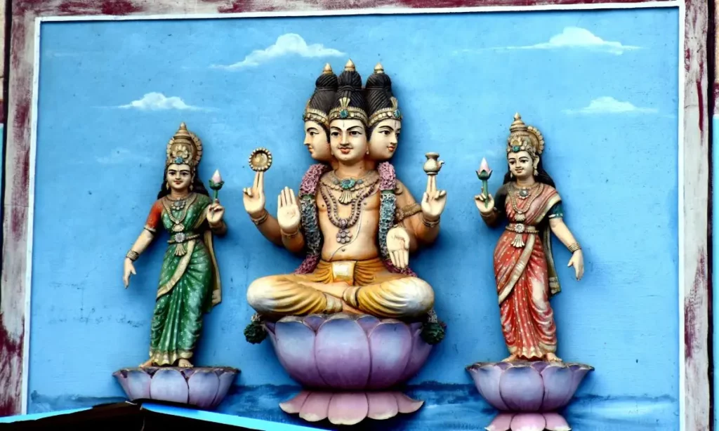 un dipianto di brahma