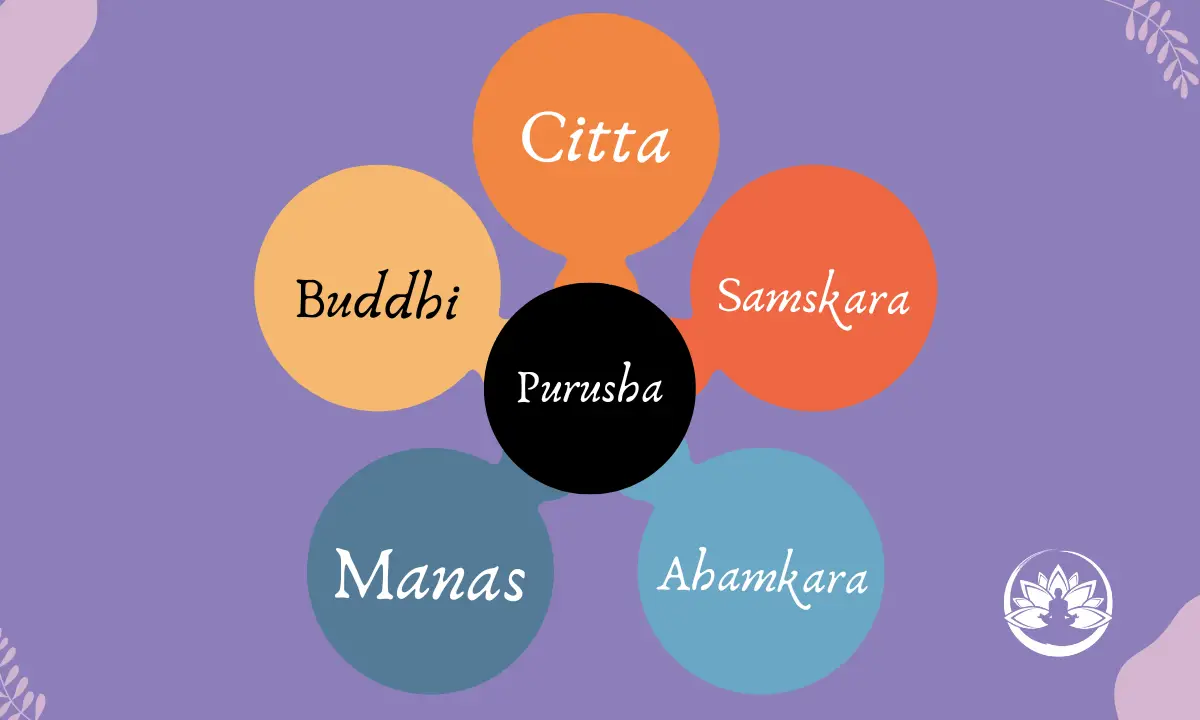 livelli della coscienza