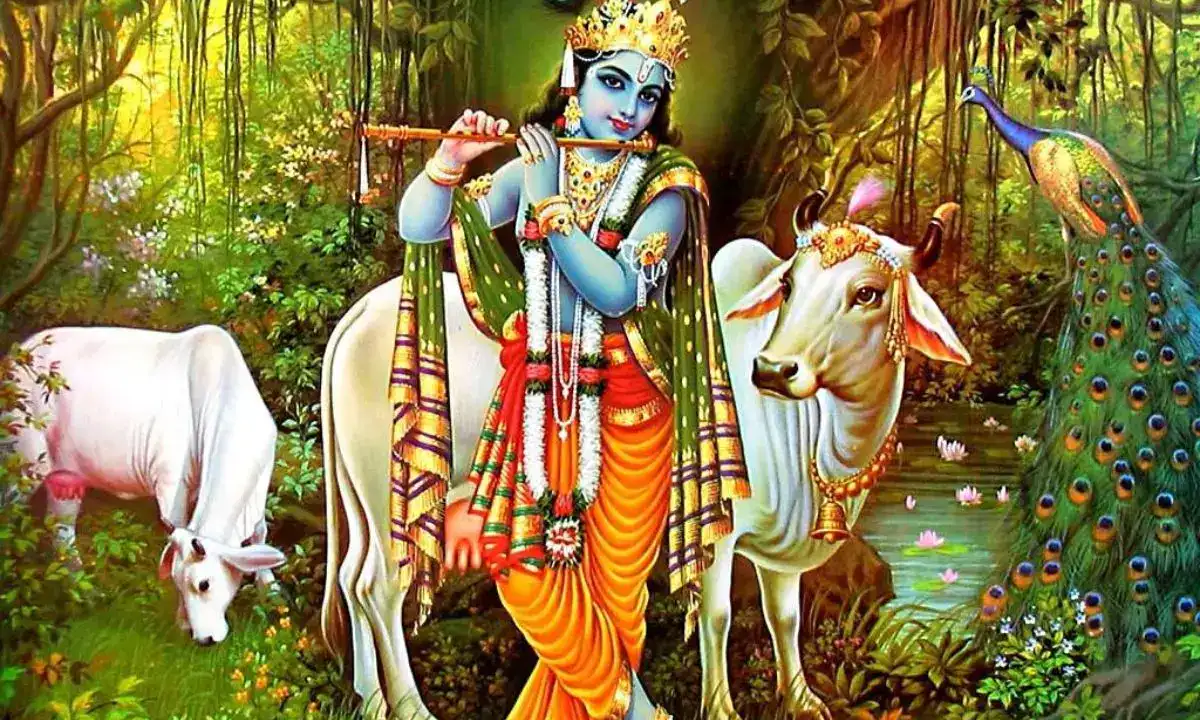 krishna suona il flauto