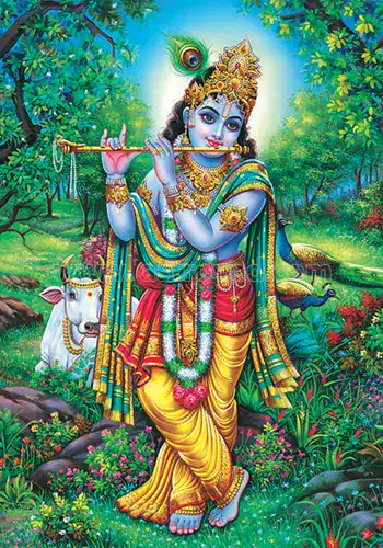 aspetto di krishna
