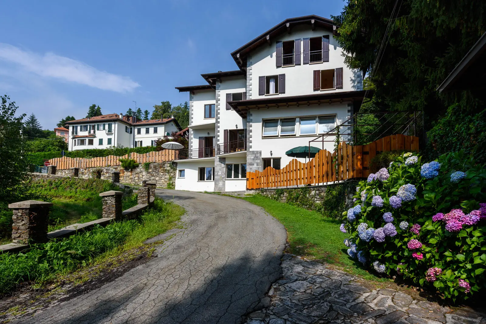 IPSO-Campus-esterno-ortensie