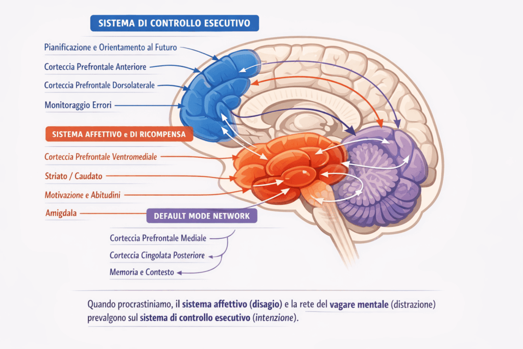 i meccanismi che si attivano nel cervello quando procrastiniamo